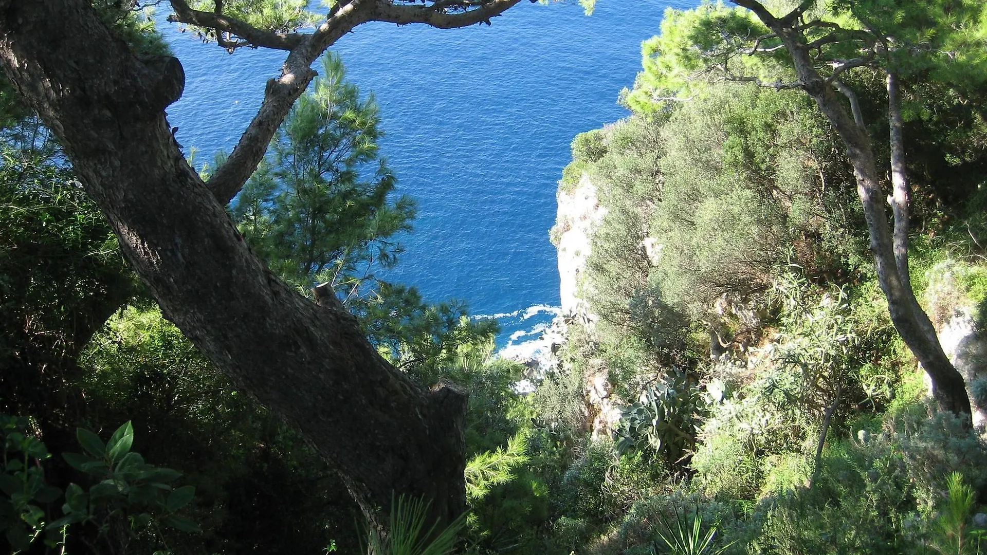 Hotel Etrusco Rio Marina 2*,  Italy